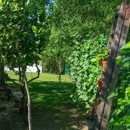 펜션 Muinos Pool&garden En Tuy Muy Cerca De Portugal